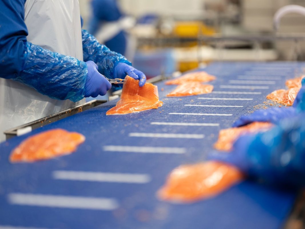 Wholesale fish product