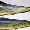 Wholesale Mahi Mahi Fish In Norway
