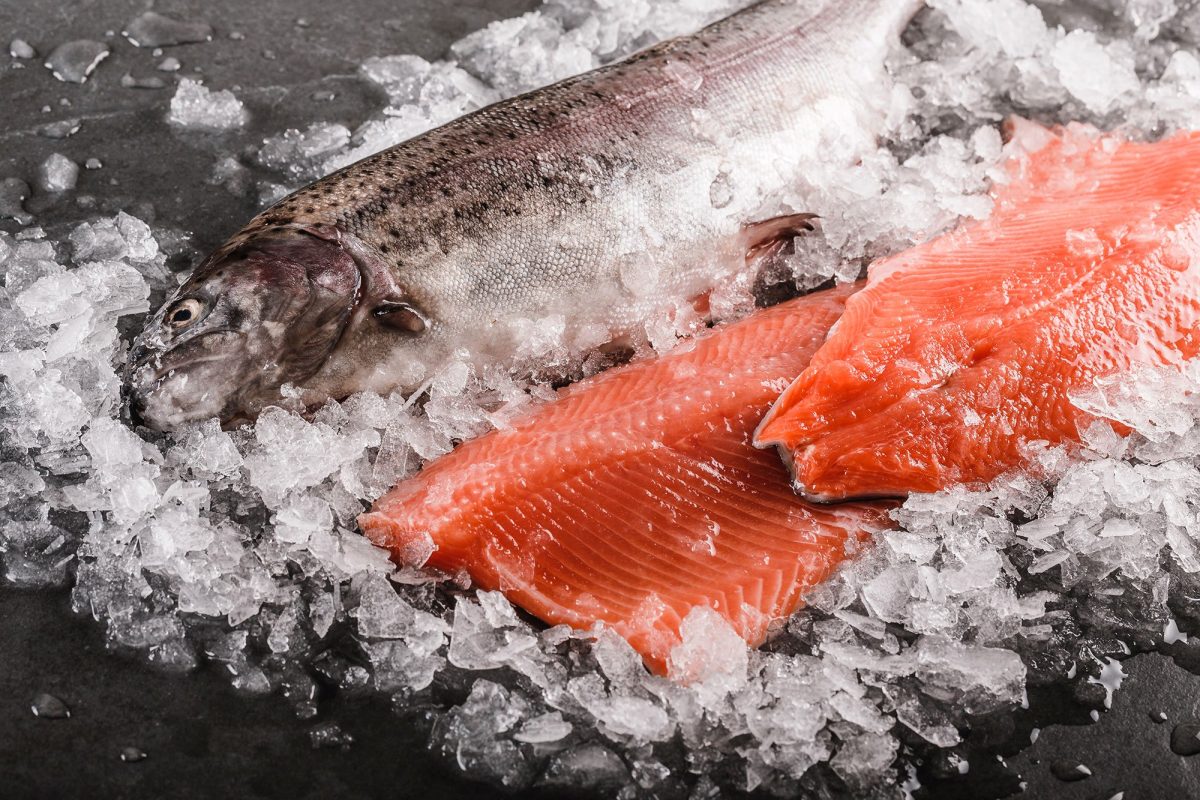 Wholesale fish for sale